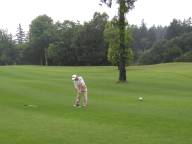 s�ˍ��񔪉�05