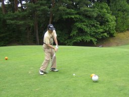 s�ˍ��񔪉�14