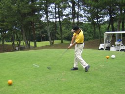 s�ˍ��񔪉�15