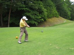 s�ˍ��񔪉�20