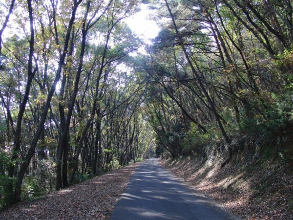 �����o��07