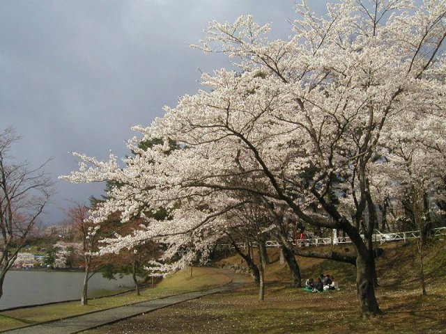 �����s�E��������01