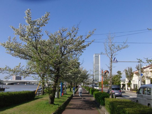 �V���o��03