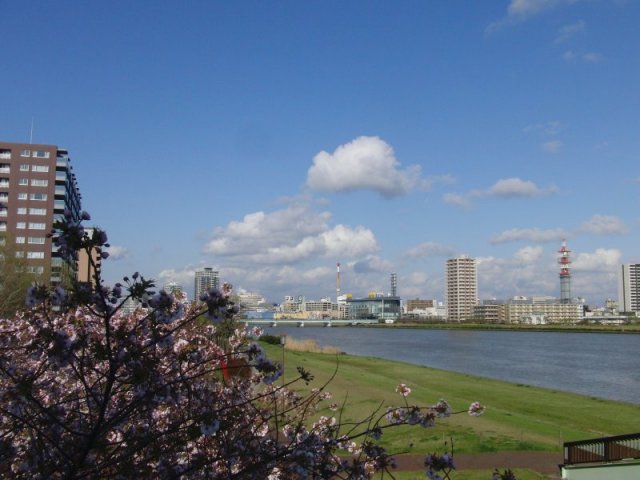 �V���o��05