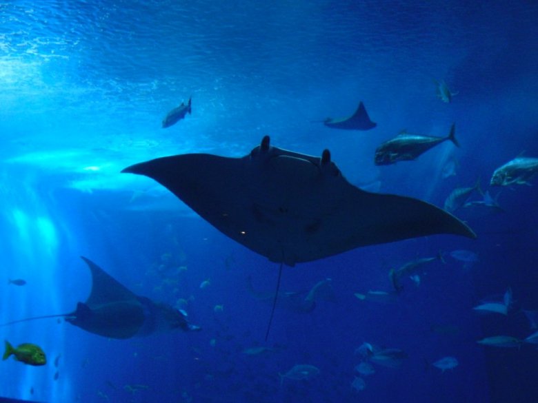 ����o��13