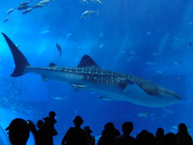 ����o��15