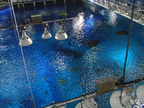 ����o��16