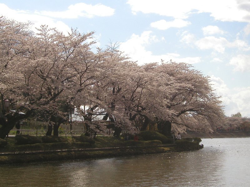 �����s�E��������02