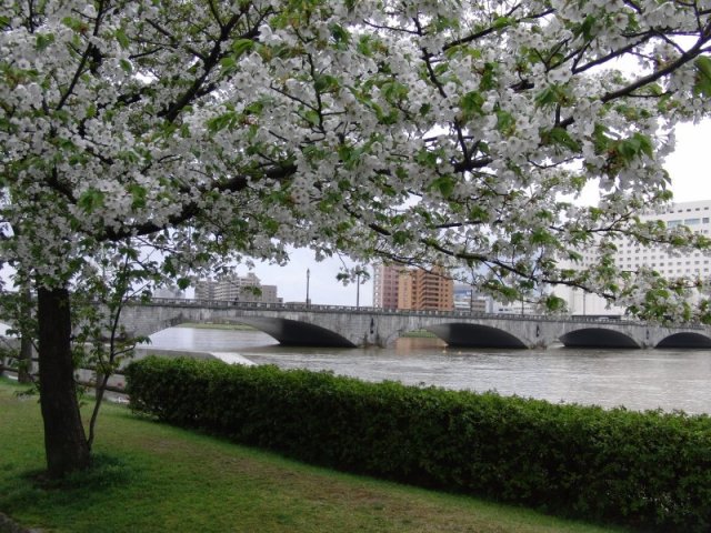 �V���o��01