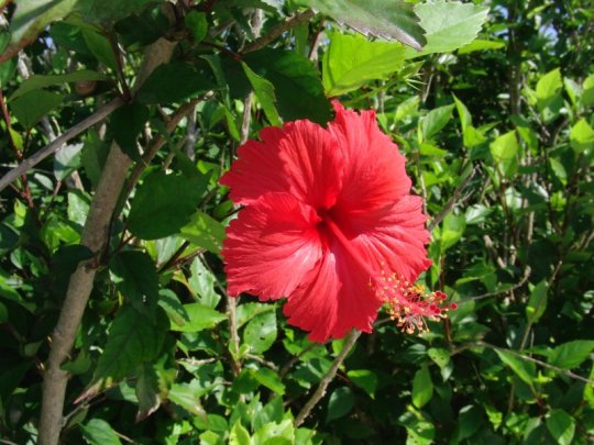 ����o��07