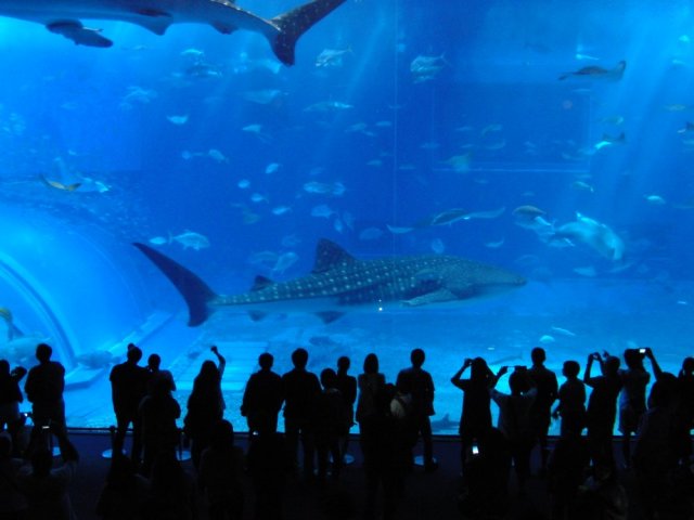 ����o��12