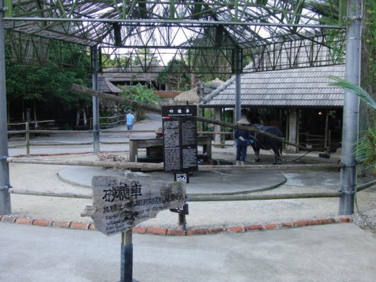 ����o��28