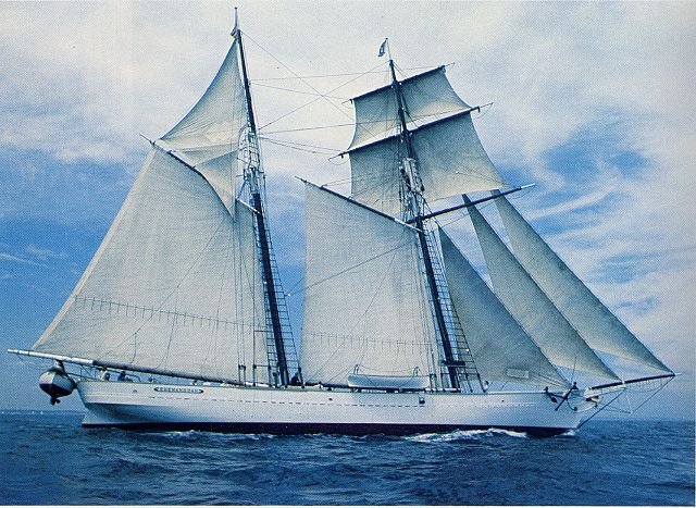 �V�F�i���h�[