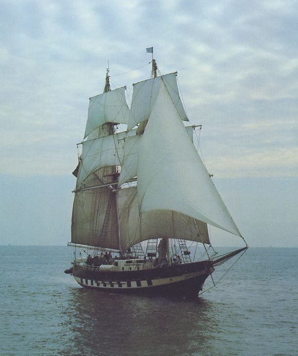 ���C�����X�g