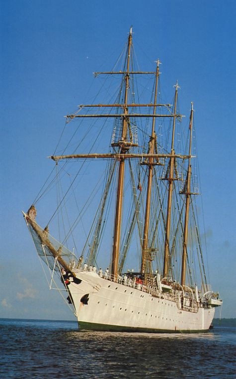 �G�X�������_